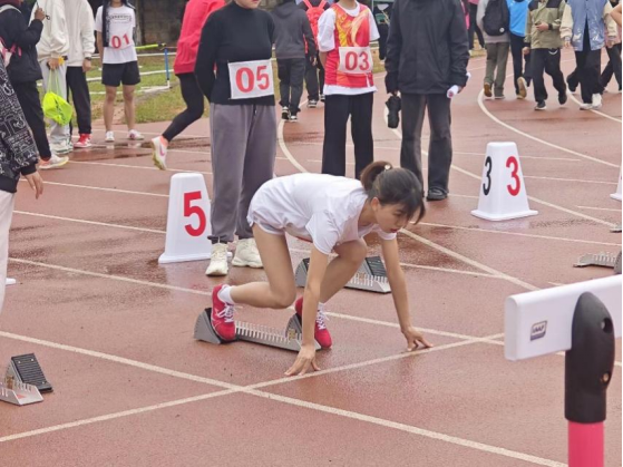 球盟会
