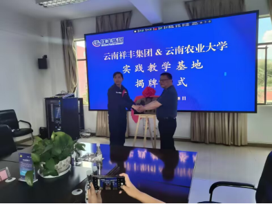 球盟会