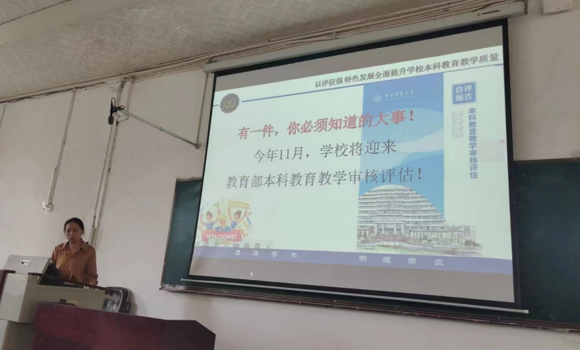 球盟会