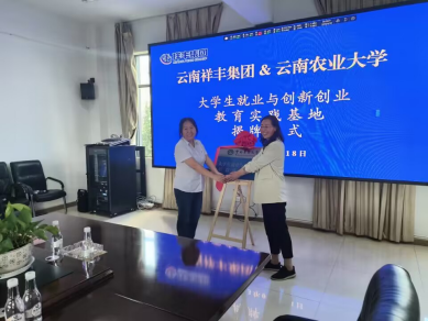 球盟会
